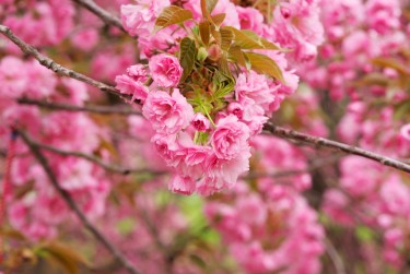 宁波奉化区线下个人借款平台一站式服务，轻松解决资金难题