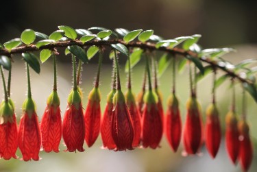 宁波奉化区零用贷短借：轻松解决临时资金需求