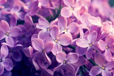 宁波奉化区企业急用钱贷款攻略：快速融资解燃眉之急